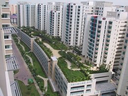 I giardini pensili a Singapore